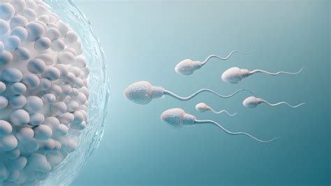 omega 3 and sperm quality.